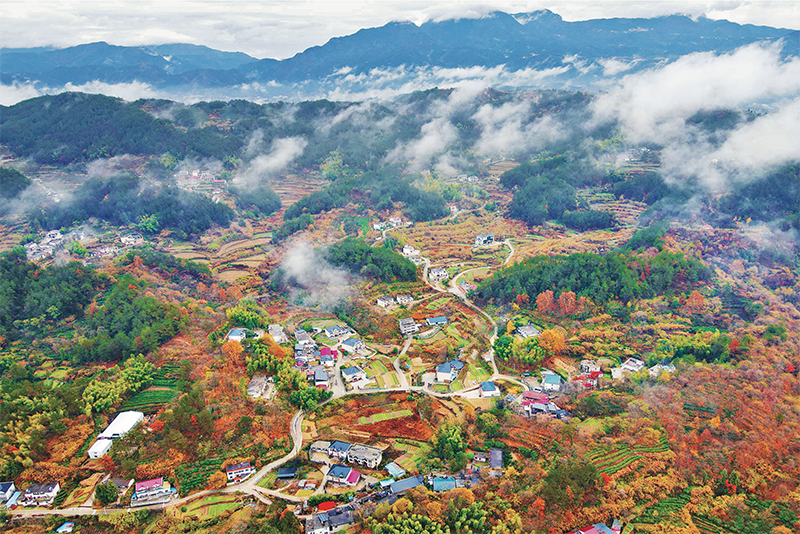 錨定建設(shè)農(nóng)業(yè)強(qiáng)國目標(biāo) 切實(shí)抓好新時(shí)代新征程“三農(nóng)”工作--唐仁健(圖3)