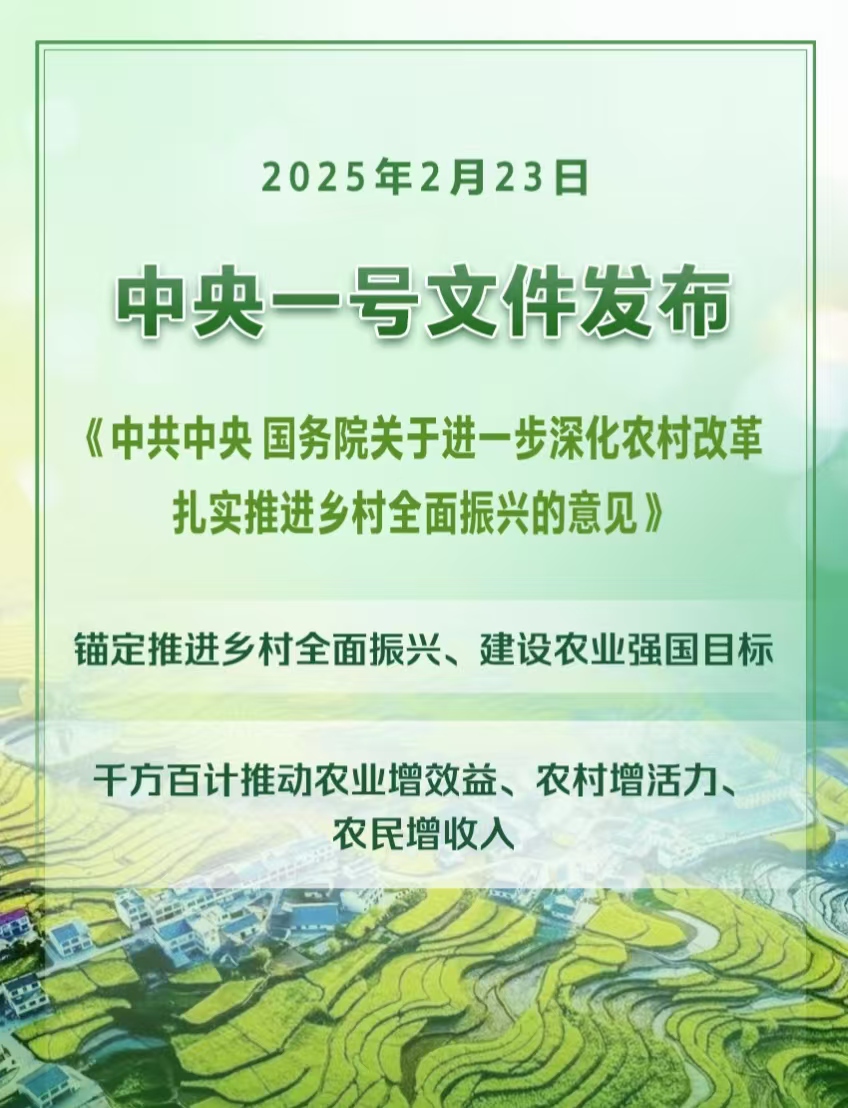 2025年中央一號文件發(fā)布提出扎實(shí)推進(jìn)鄉(xiāng)村全面振興(圖1)